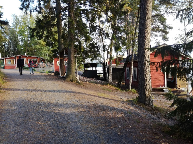 Ein Bild, das Baum, draußen, Boden, Pflanze enthält.

Automatisch generierte Beschreibung